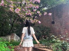 -武汉园博园(武汉自然博物馆)