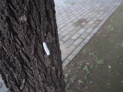 -百里山水画廊-恐龙游乐园