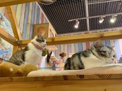 -小时光咖啡馆(开森度假森林店)