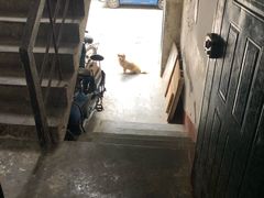 -夹江老头叶儿粑(石雁儿小区店)