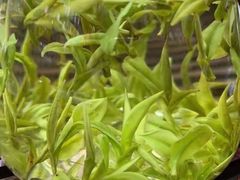 -曦瓜大红袍专卖店·茶室(上海静安店)