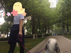 -重庆市江北嘴中央商务区中央公园