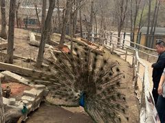 -哈尔滨北方森林动物园