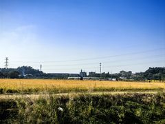 -长洲岛