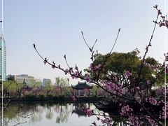 -无锡蠡湖国家湿地公园-蠡园