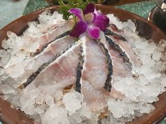 芥末乌鱼片-雾都嘟重庆老火锅