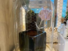 -安徒生活·DIY手工坊