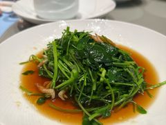 -红城阁·上海味道(四平路店)