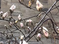 -东华门大街小区