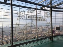-龙塔