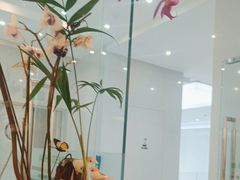 -上海康怡口腔门诊部Alpha Dental