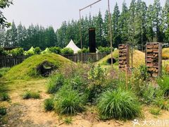 -前小桔亲子创意农场·草莓采摘·露营烧烤