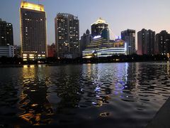 夜色-白鹭洲公园