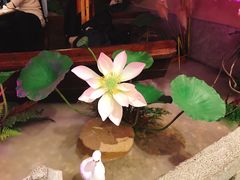 -韵秋荷(宝山龙湖天街店)