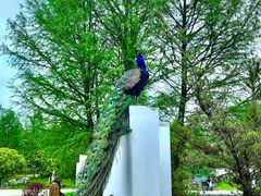 -武汉园博园(武汉自然博物馆)