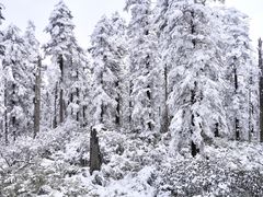 -瓦屋山景区