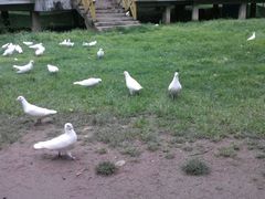 android_upload_pic-解放公园