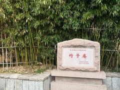 -竹子庵公园