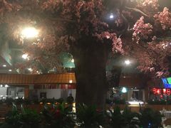 -嘉年华会水疗会(大剧院站E出口店)