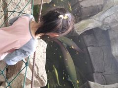-青青世界
