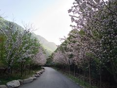 -云丘山景区