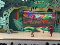 -千岛湖东南湖区