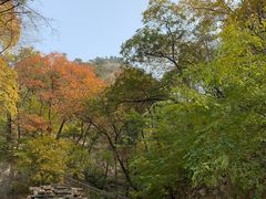 -北京上方山国家森林公园