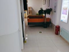 -北京观赏动物医院·24小时大型综合·猫专科·异宠专科