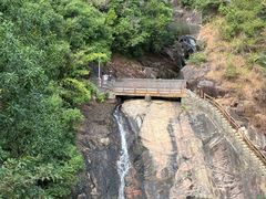 -广州白江湖森林公园