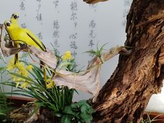 -无锡梅园公园