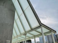 -香蜜公园