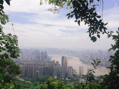 -南山植物园