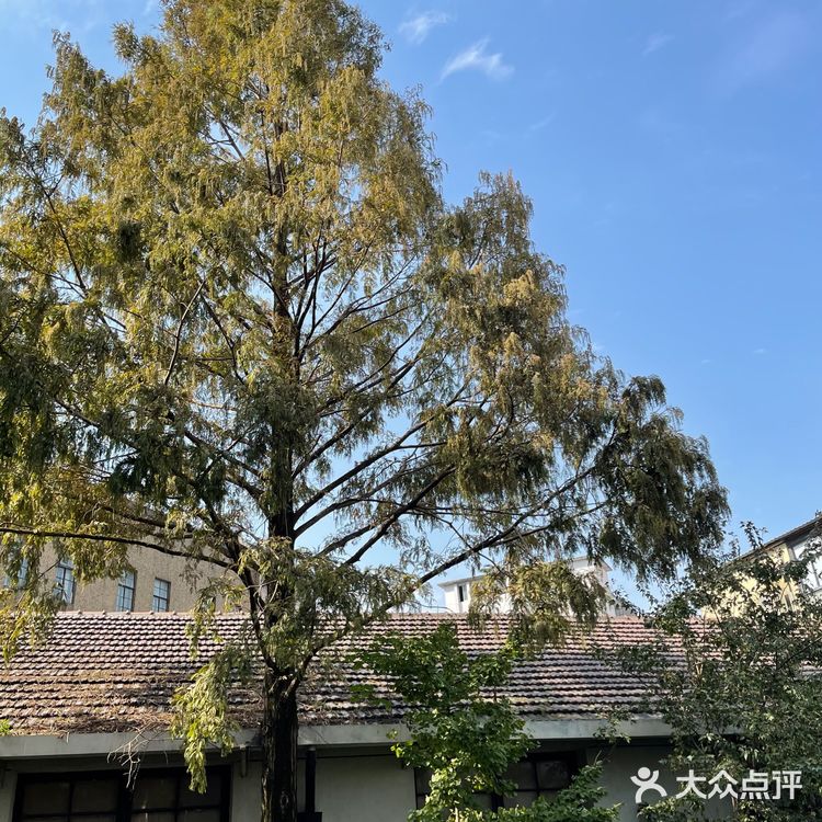 M50上海当代艺术周