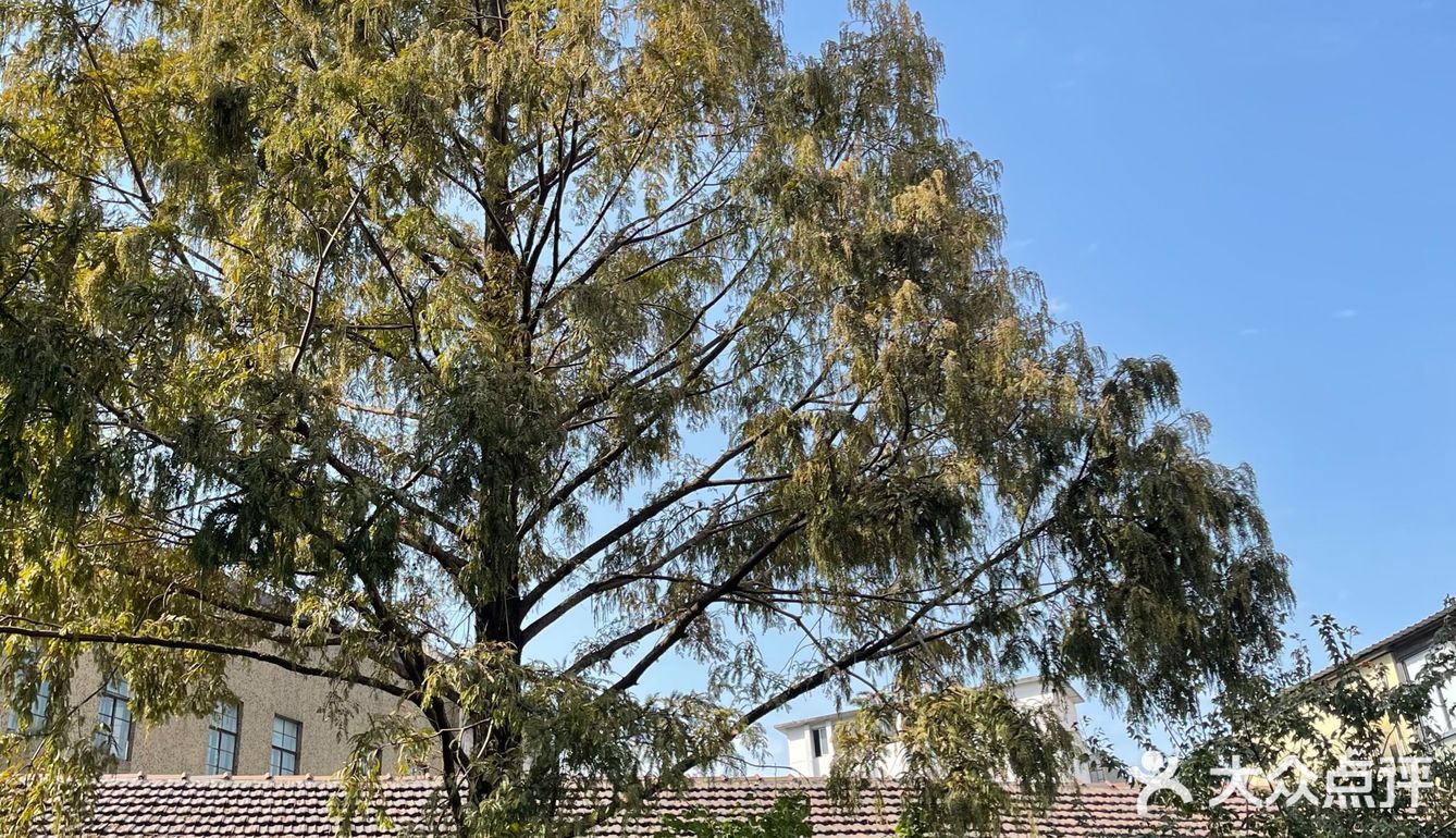 M50上海当代艺术周