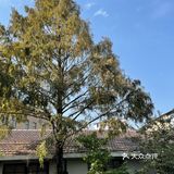 M50上海当代艺术周