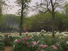 -郑州植物园