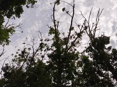 -松花湖风景名胜区