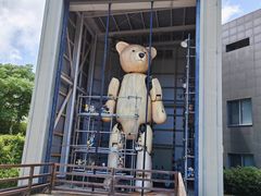 -济州岛泰迪熊博物馆