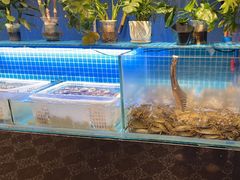 -罗马假日海鲜自助餐厅(星湖广场店)