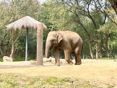 -北京野生动物园