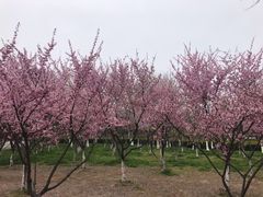 -白塘生态植物园