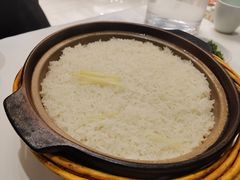 -饭怕鱼·黄焖鲟龙鱼(湖大店)