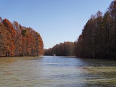 -上海海湾国家森林公园