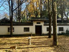 -西湖风景区十里琅珰-五云山