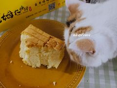 -小熊吉姆(kkone店)