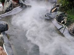 -蘇河湾·新鲁菜·泰山宴(泰山店)