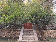 -泰山风景名胜区-普照寺