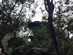 -拙政园
