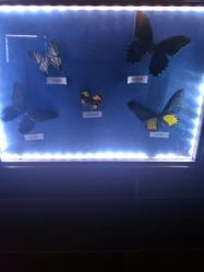 -酷嗒动物文化乐园(cutezoo西溪乐天城店)