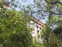 -西藏文化博物馆